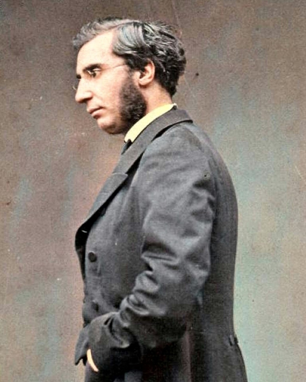 &Eacute;mile Ollivier constitutionnaliste